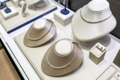 NECKLACE_AND_EARRING_SHOWCASE_ANGLE_2